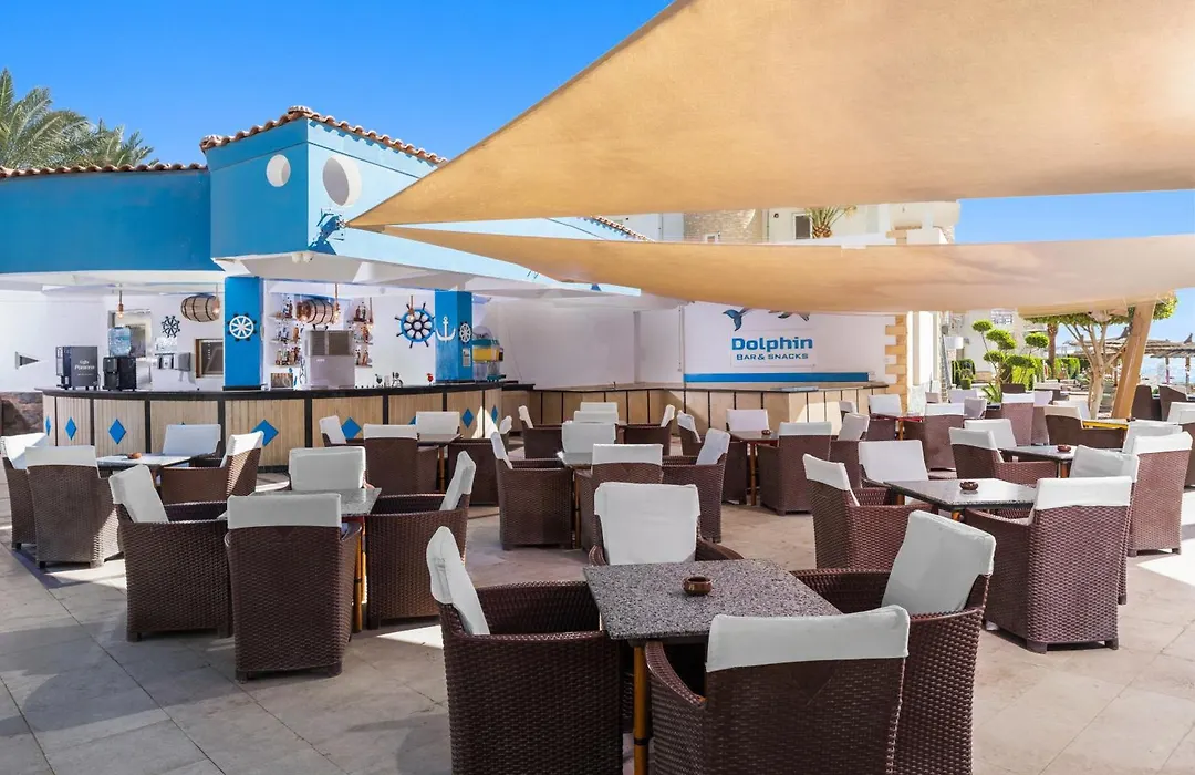 Seagull Beach Resort - Families And Couples Only-1